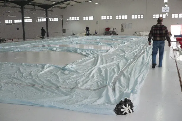 Une ponge apres la pluie Place au jeune